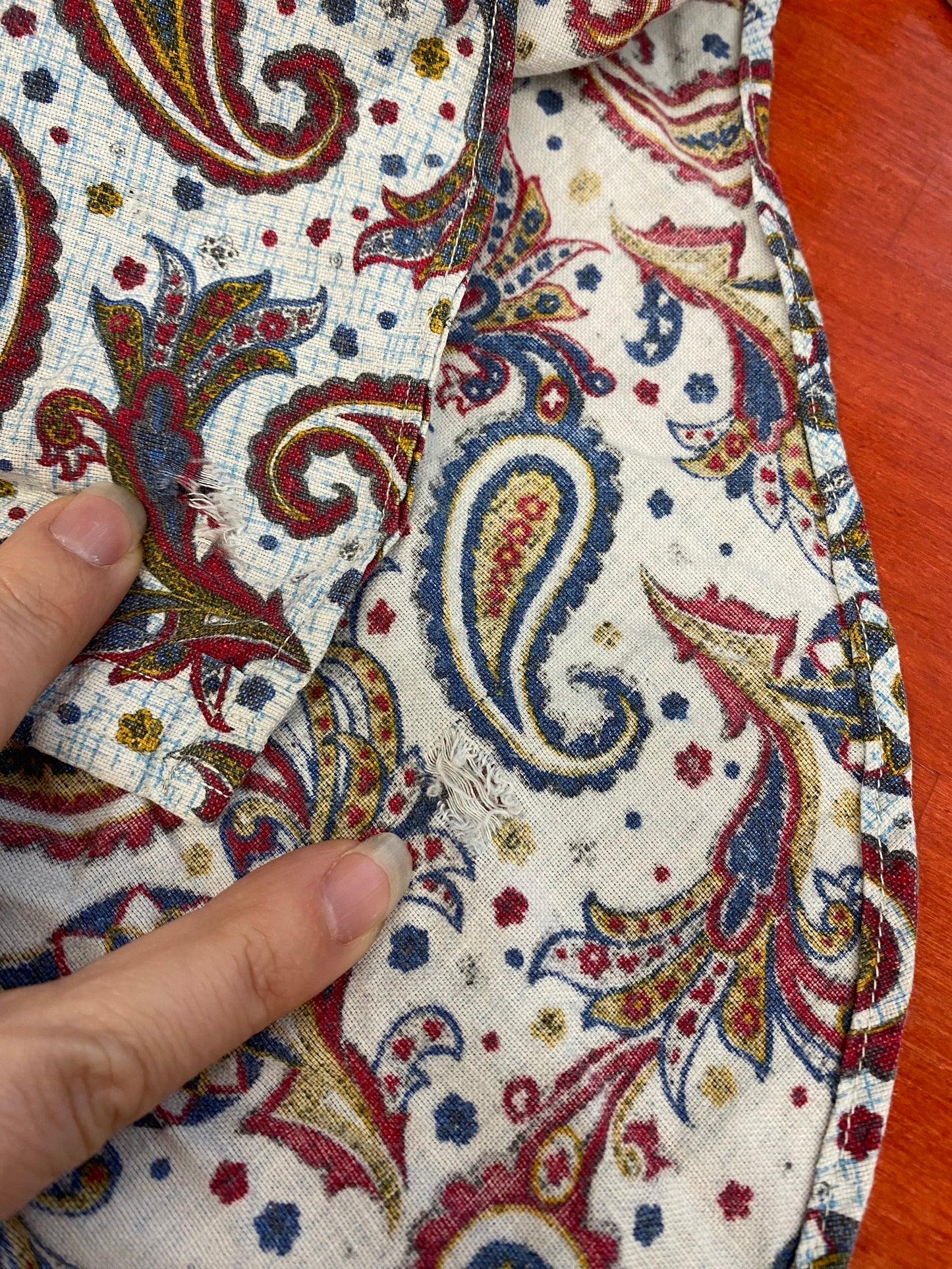 50s Pale Blue & Red Paisley Cotton Button Shirt | M/L