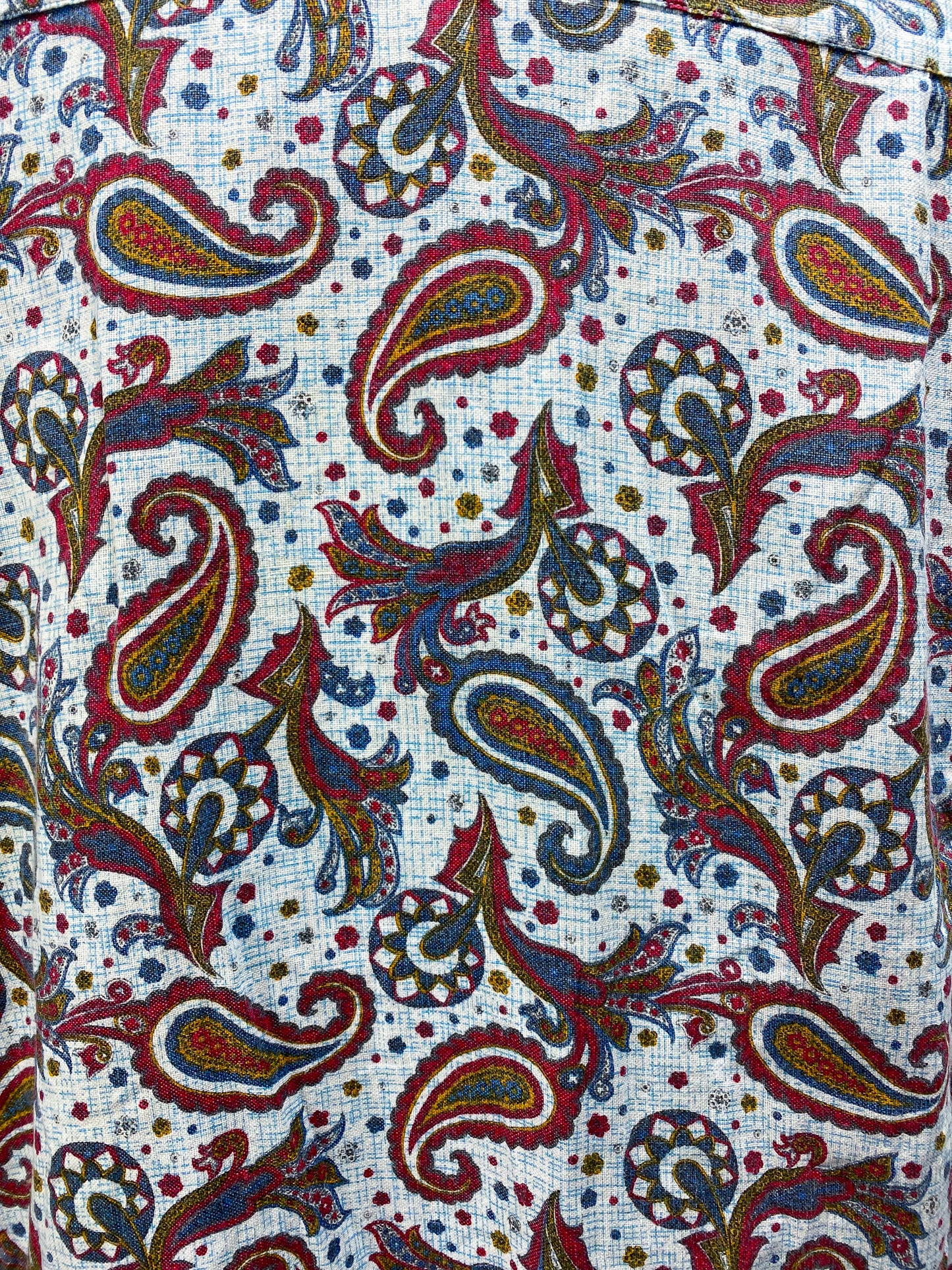 50s Pale Blue & Red Paisley Cotton Button Shirt | M/L