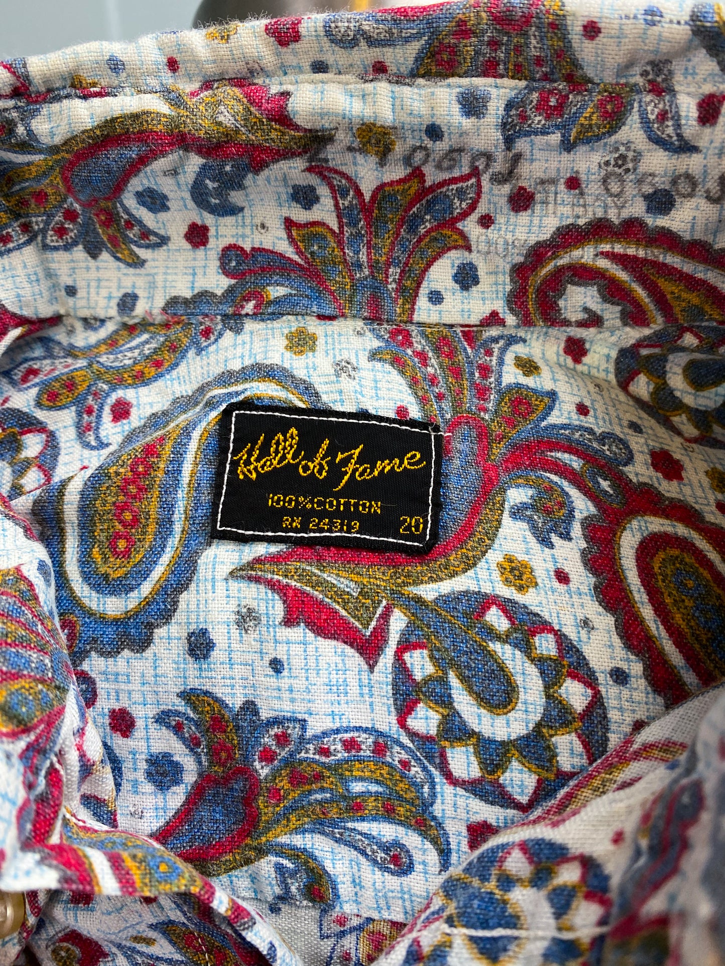 50s Pale Blue & Red Paisley Cotton Button Shirt | M/L
