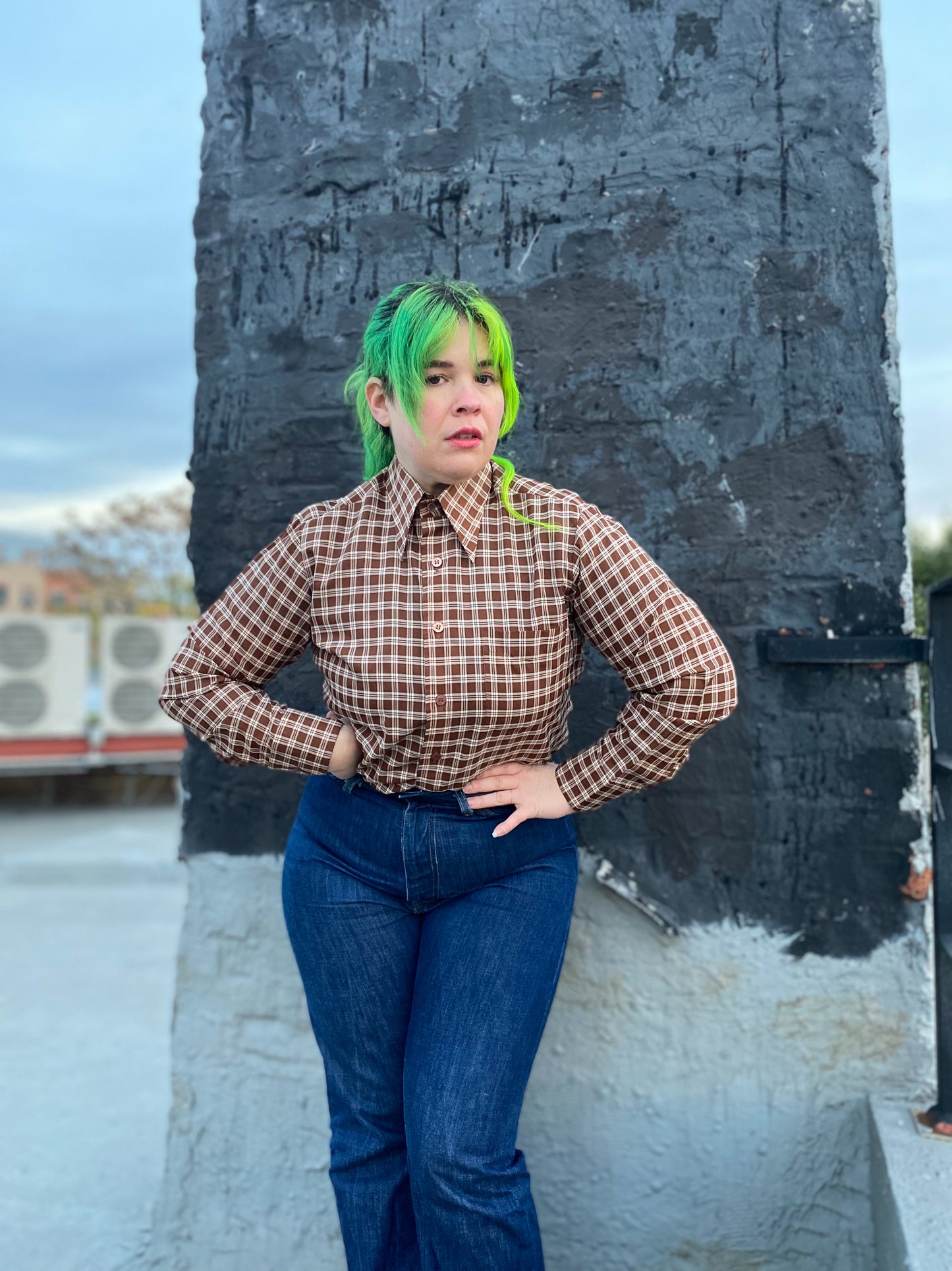 70s 80s Brown & White Plaid Dagger Collar Western Shirt | M/L